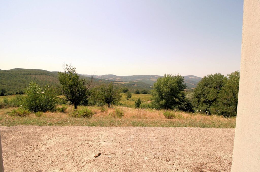 1541-Azienda vitivinicola con produzione di vini di alta qualita' in posizione collinare con vista panoramica-Scansano-26 Agenzia Immobiliare ASIP