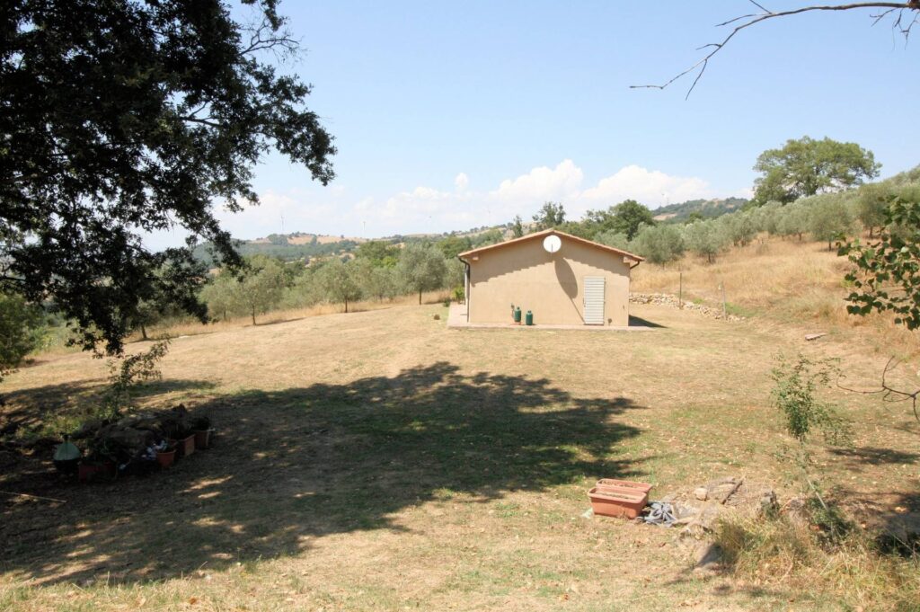 1541-Azienda vitivinicola con produzione di vini di alta qualita' in posizione collinare con vista panoramica-Scansano-18 Agenzia Immobiliare ASIP