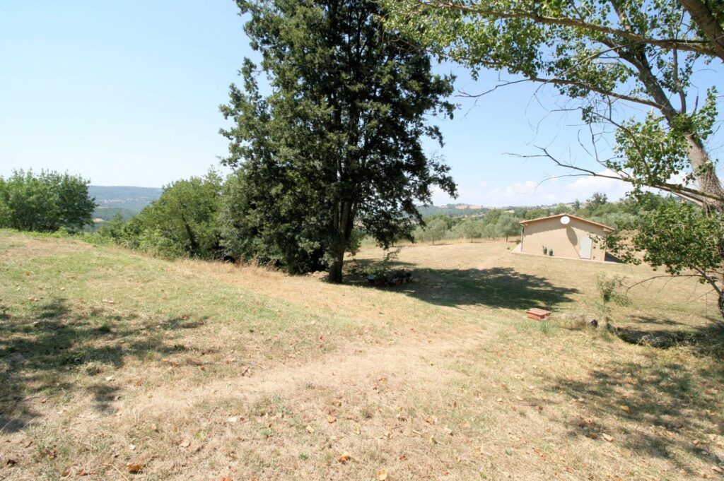1541-Azienda vitivinicola con produzione di vini di alta qualita' in posizione collinare con vista panoramica-Scansano-29 Agenzia Immobiliare ASIP