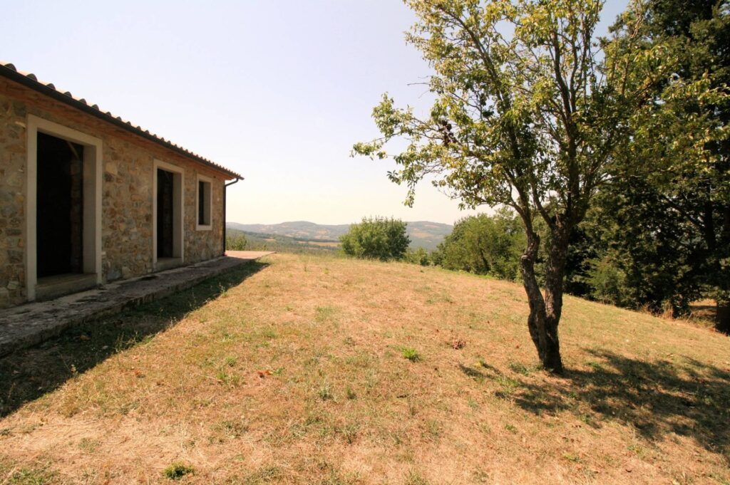 1541-Azienda vitivinicola con produzione di vini di alta qualita' in posizione collinare con vista panoramica-Scansano-28 Agenzia Immobiliare ASIP