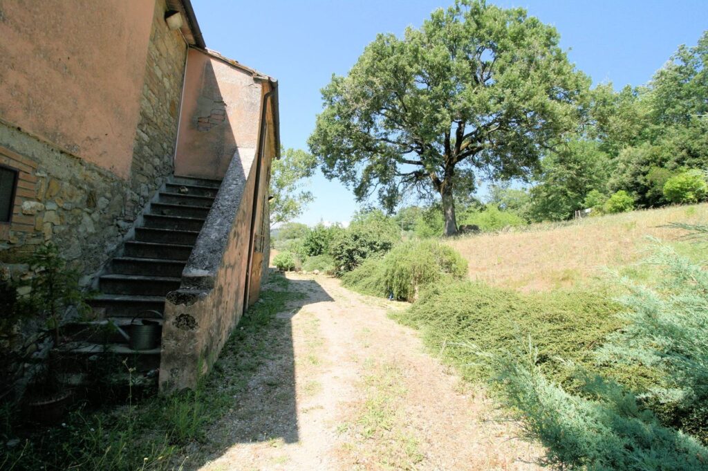 1541-Azienda vitivinicola con produzione di vini di alta qualita' in posizione collinare con vista panoramica-Scansano-33 Agenzia Immobiliare ASIP