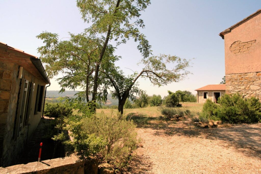 1541-Azienda vitivinicola con produzione di vini di alta qualita' in posizione collinare con vista panoramica-Scansano-34 Agenzia Immobiliare ASIP