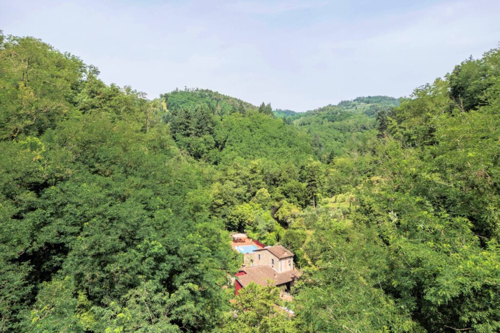 1526-Rustico in stile Toscano con giardino e piscina-Buggiano-2 Agenzia Immobiliare ASIP