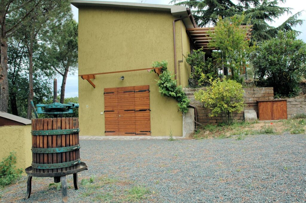1556-Casale con oliveto vicino a Grosseto-Grosseto-7 Agenzia Immobiliare ASIP