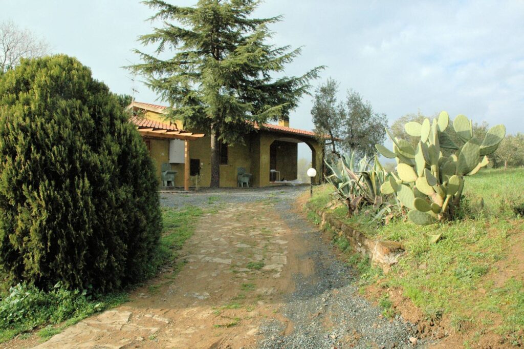 1556-Casale con oliveto vicino a Grosseto-Grosseto-2 Agenzia Immobiliare ASIP