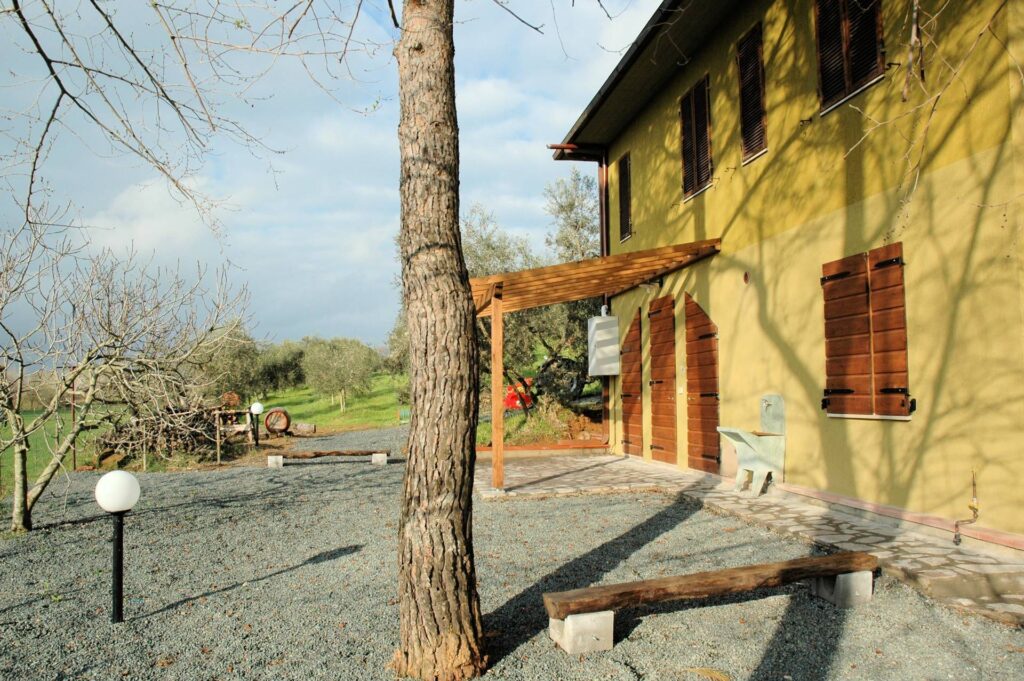 1556-Casale con oliveto vicino a Grosseto-Grosseto-8 Agenzia Immobiliare ASIP