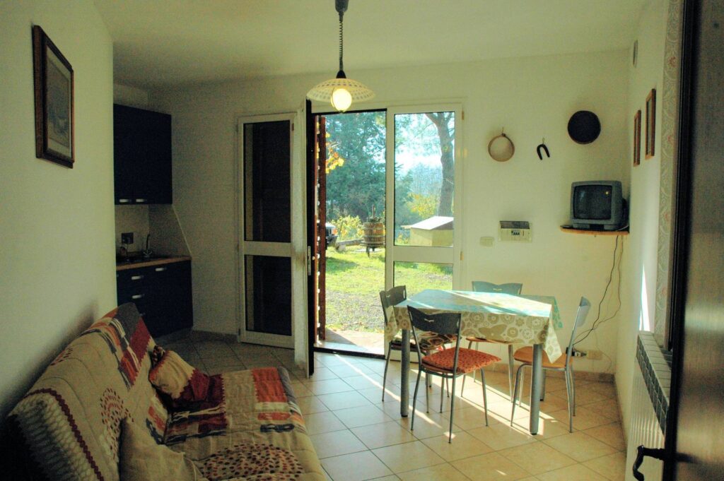 1556-Casale con oliveto vicino a Grosseto-Grosseto-27 Agenzia Immobiliare ASIP