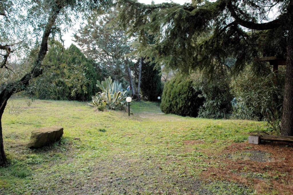 1556-Casale con oliveto vicino a Grosseto-Grosseto-16 Agenzia Immobiliare ASIP