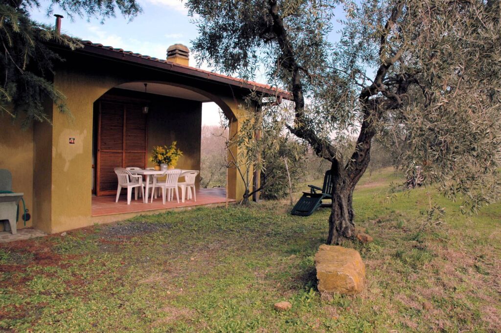 1556-Casale con oliveto vicino a Grosseto-Grosseto-17 Agenzia Immobiliare ASIP