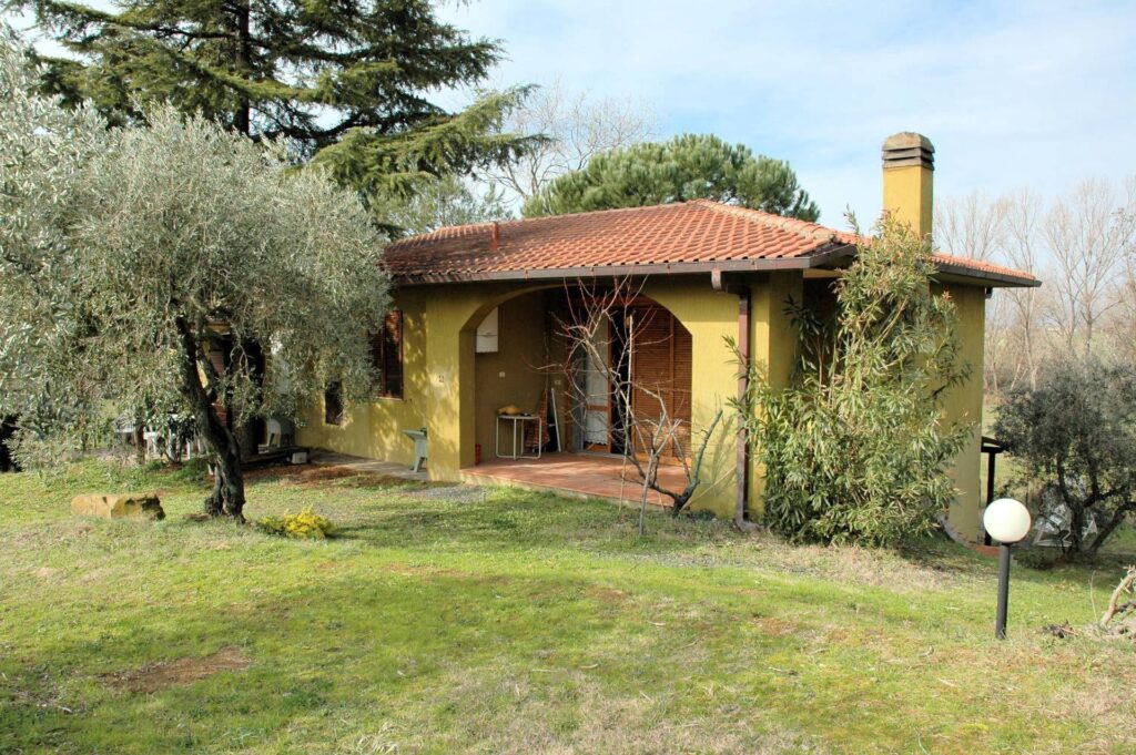 1556-Casale con oliveto vicino a Grosseto-Grosseto-5 Agenzia Immobiliare ASIP