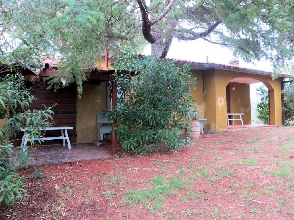 1556-Casale con oliveto vicino a Grosseto-Grosseto-22 Agenzia Immobiliare ASIP
