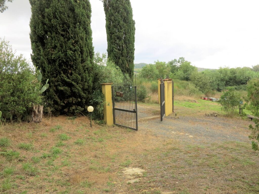 1556-Casale con oliveto vicino a Grosseto-Grosseto-18 Agenzia Immobiliare ASIP