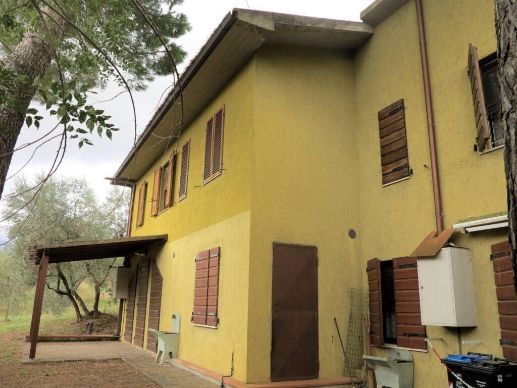 1556-Casale con oliveto vicino a Grosseto-Grosseto-20 Agenzia Immobiliare ASIP