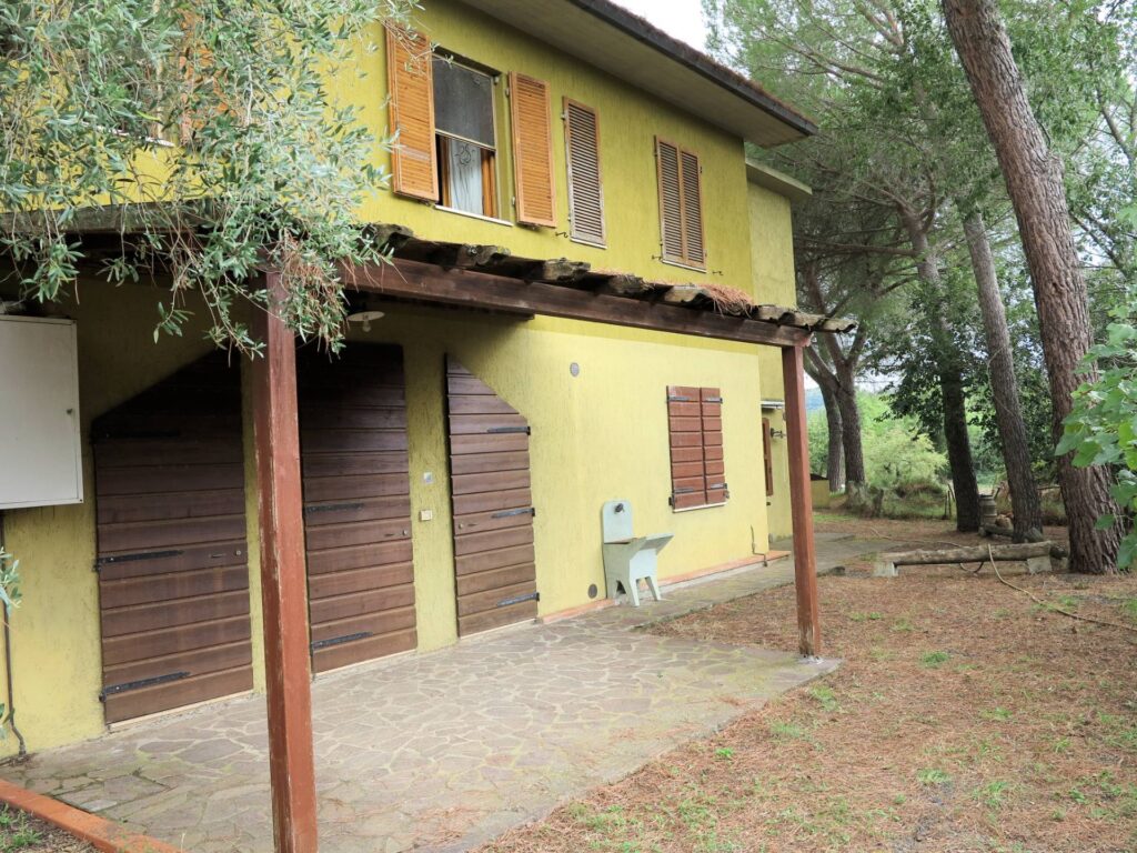 1556-Casale con oliveto vicino a Grosseto-Grosseto-19 Agenzia Immobiliare ASIP