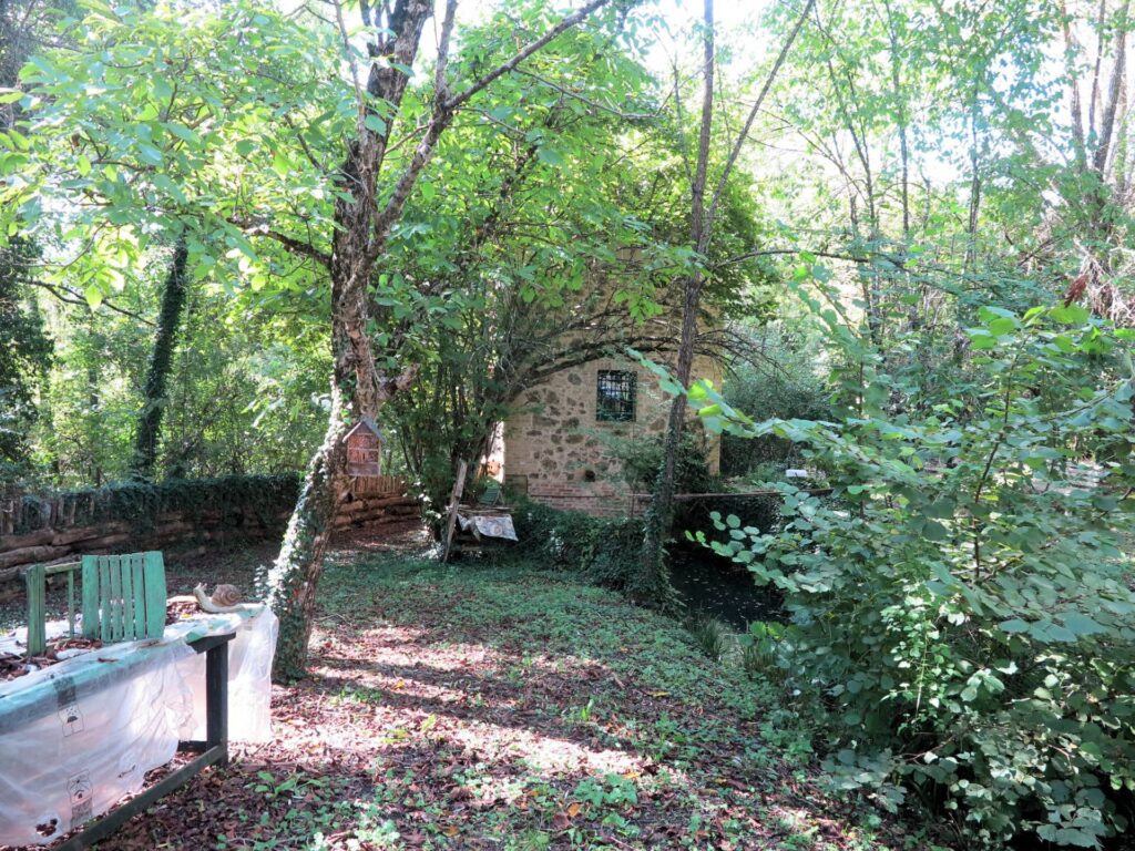 1560-Complesso immobiliare di ampia superficie con ex mulino del 1200-Chiusdino-11 Agenzia Immobiliare ASIP