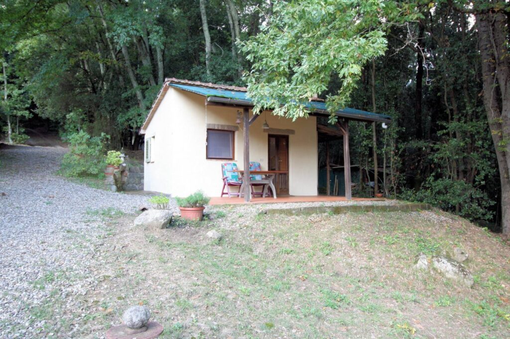 1562-"La casa nel bosco" immersa nella natura-Roccastrada-12 Agenzia Immobiliare ASIP