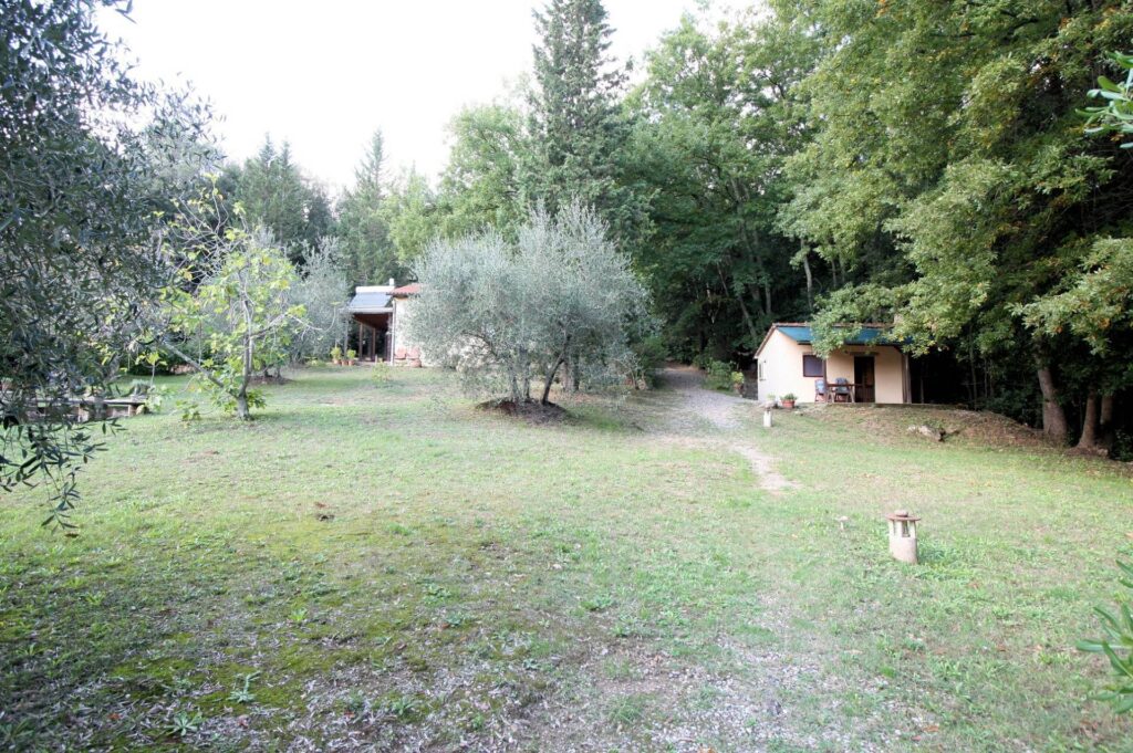 1562-"La casa nel bosco" immersa nella natura-Roccastrada-10 Agenzia Immobiliare ASIP