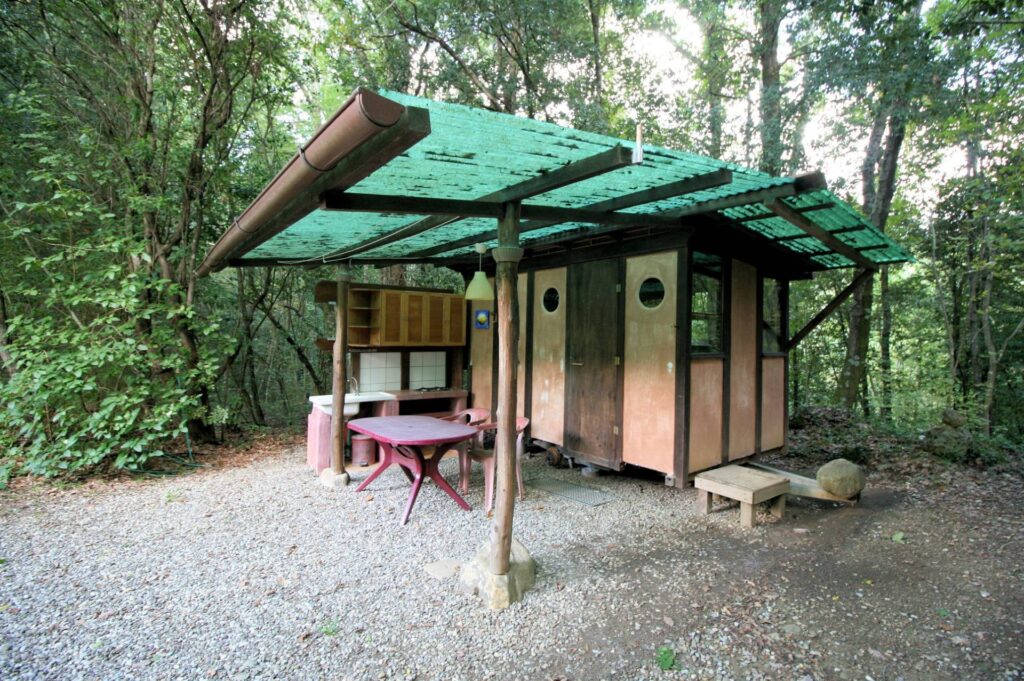 1562-"La casa nel bosco" immersa nella natura-Roccastrada-18 Agenzia Immobiliare ASIP