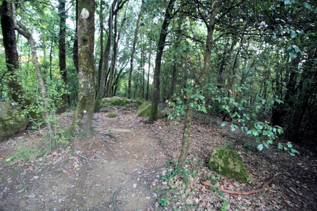 1562-"La casa nel bosco" immersa nella natura-Roccastrada-17 Agenzia Immobiliare ASIP