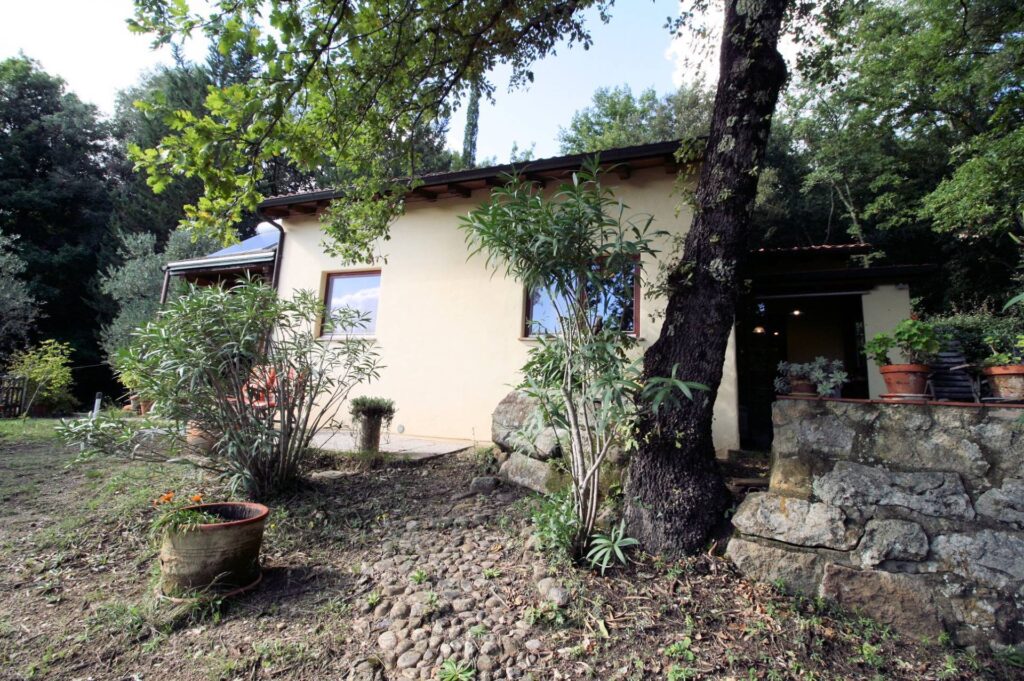 1562-"La casa nel bosco" immersa nella natura-Roccastrada-3 Agenzia Immobiliare ASIP