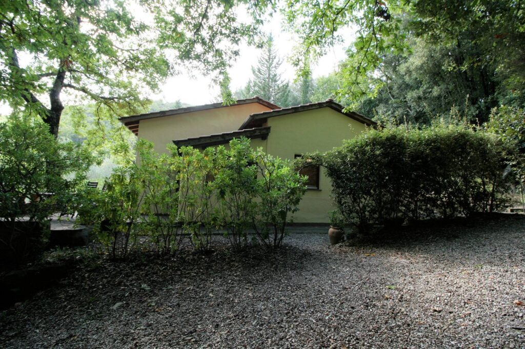 1562-"La casa nel bosco" immersa nella natura-Roccastrada-4 Agenzia Immobiliare ASIP