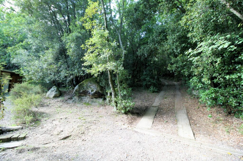 1562-"La casa nel bosco" immersa nella natura-Roccastrada-16 Agenzia Immobiliare ASIP