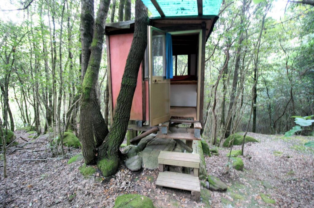 1562-"La casa nel bosco" immersa nella natura-Roccastrada-21 Agenzia Immobiliare ASIP