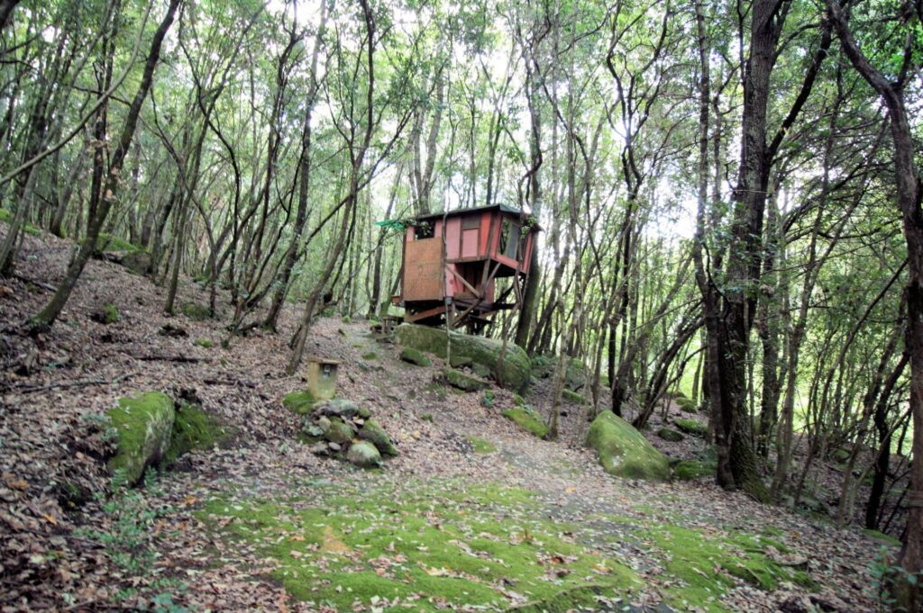 1562-"La casa nel bosco" immersa nella natura-Roccastrada-14 Agenzia Immobiliare ASIP