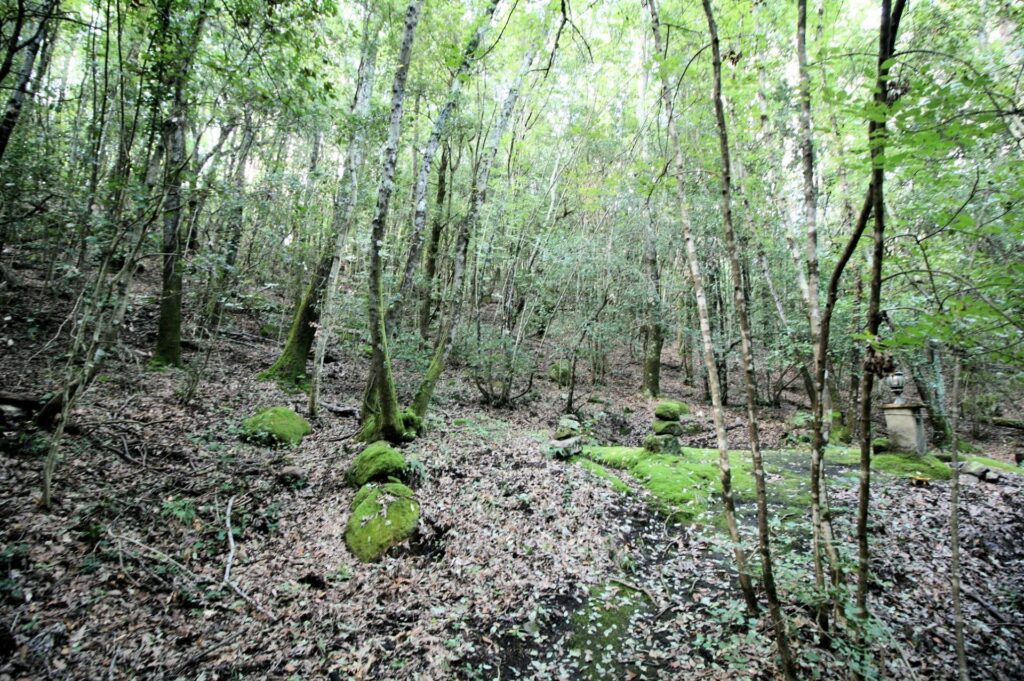 1562-"La casa nel bosco" immersa nella natura-Roccastrada-22 Agenzia Immobiliare ASIP
