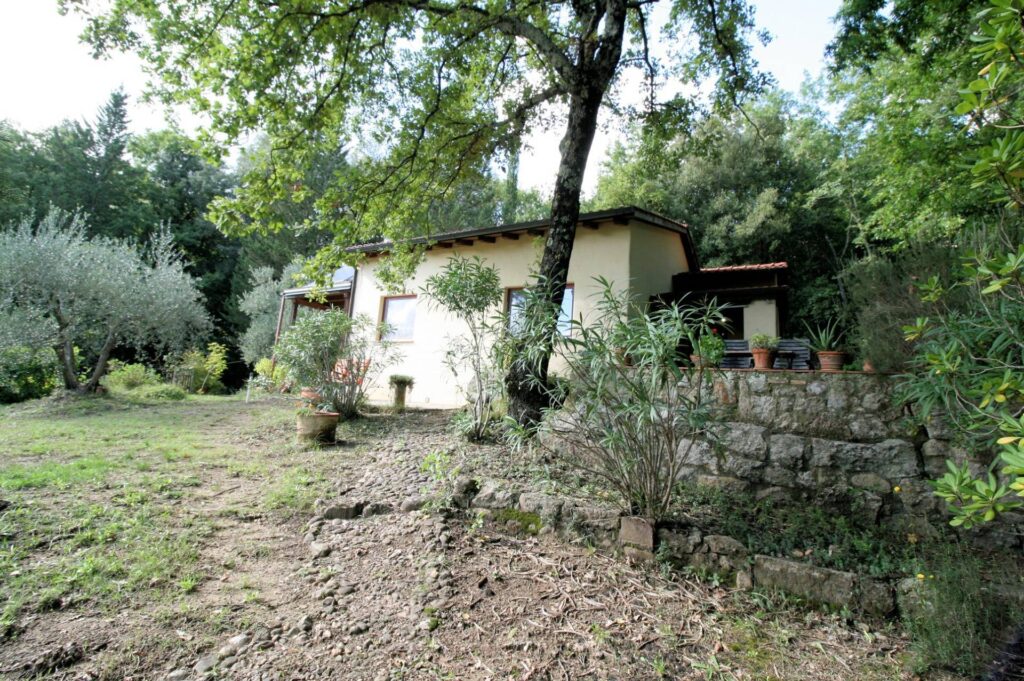 1562-"La casa nel bosco" immersa nella natura-Roccastrada-5 Agenzia Immobiliare ASIP