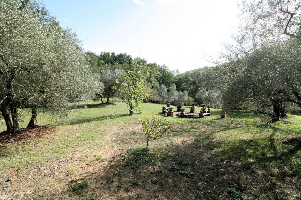 1562-"La casa nel bosco" immersa nella natura-Roccastrada-13 Agenzia Immobiliare ASIP