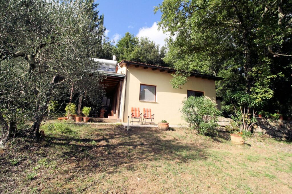 1562-"La casa nel bosco" immersa nella natura-Roccastrada-11 Agenzia Immobiliare ASIP