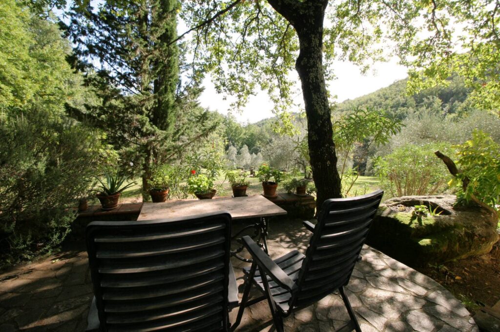 1562-"La casa nel bosco" immersa nella natura-Roccastrada-6 Agenzia Immobiliare ASIP