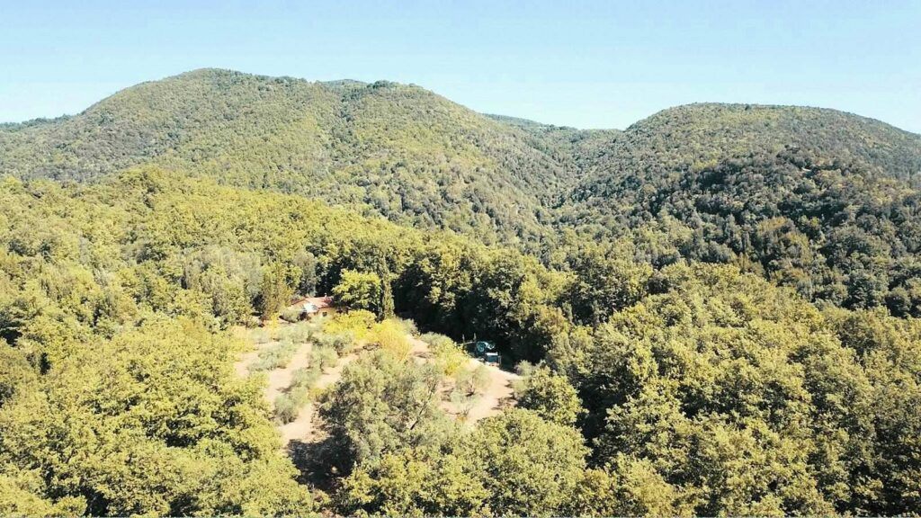 1562-"La casa nel bosco" immersa nella natura-Roccastrada-1 Agenzia Immobiliare ASIP