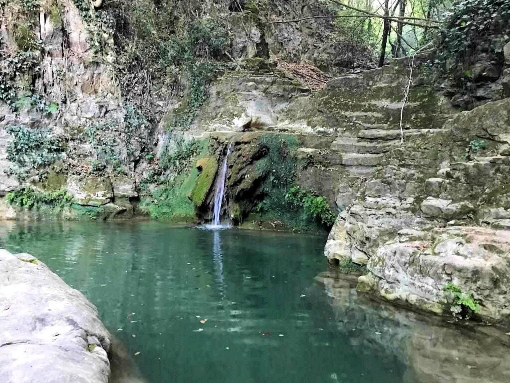 1562-"La casa nel bosco" immersa nella natura-Roccastrada-15 Agenzia Immobiliare ASIP
