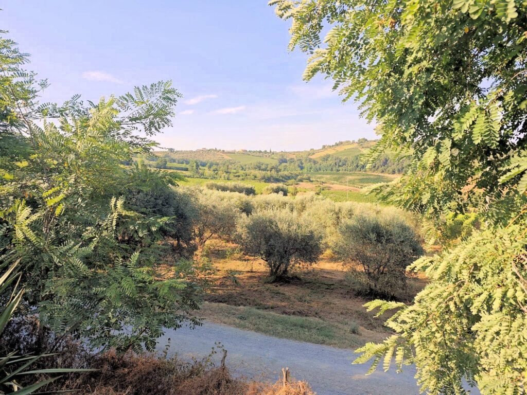 1566-Porzione terratetto di casale con vista panoramica e ampio terreno-Gambassi Terme-7 Agenzia Immobiliare ASIP