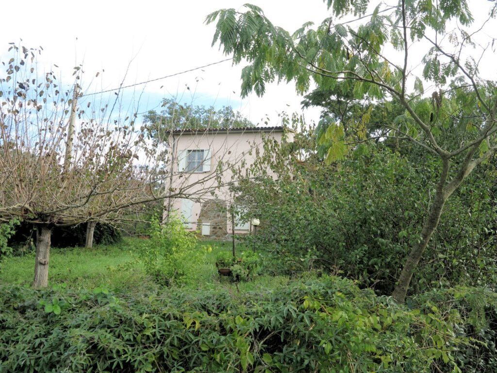 1568-Casa singola composta da due appartamenti indipendenti con ampio terreno-Scarlino-4 Agenzia Immobiliare ASIP