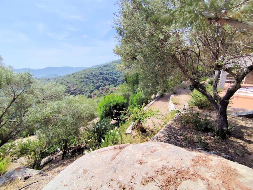 1569-Villa singola in posizione panoramica con vista fino al mare-Campo nell'Elba-12 Agenzia Immobiliare ASIP