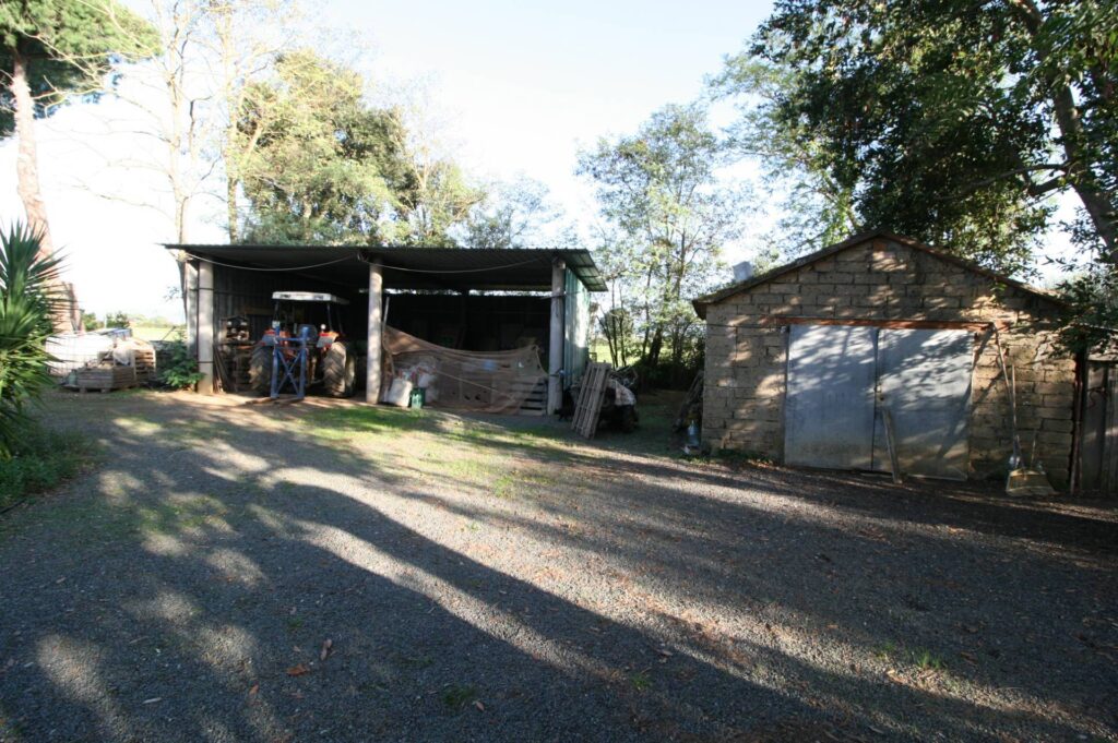 1572-Piccolo podere nella pianura Maremmana-Roccastrada-7 Agenzia Immobiliare ASIP