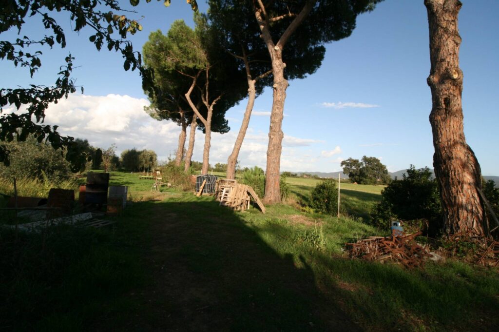 1572-Piccolo podere nella pianura Maremmana-Roccastrada-8 Agenzia Immobiliare ASIP