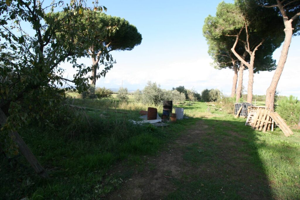 1572-Piccolo podere nella pianura Maremmana-Roccastrada-9 Agenzia Immobiliare ASIP