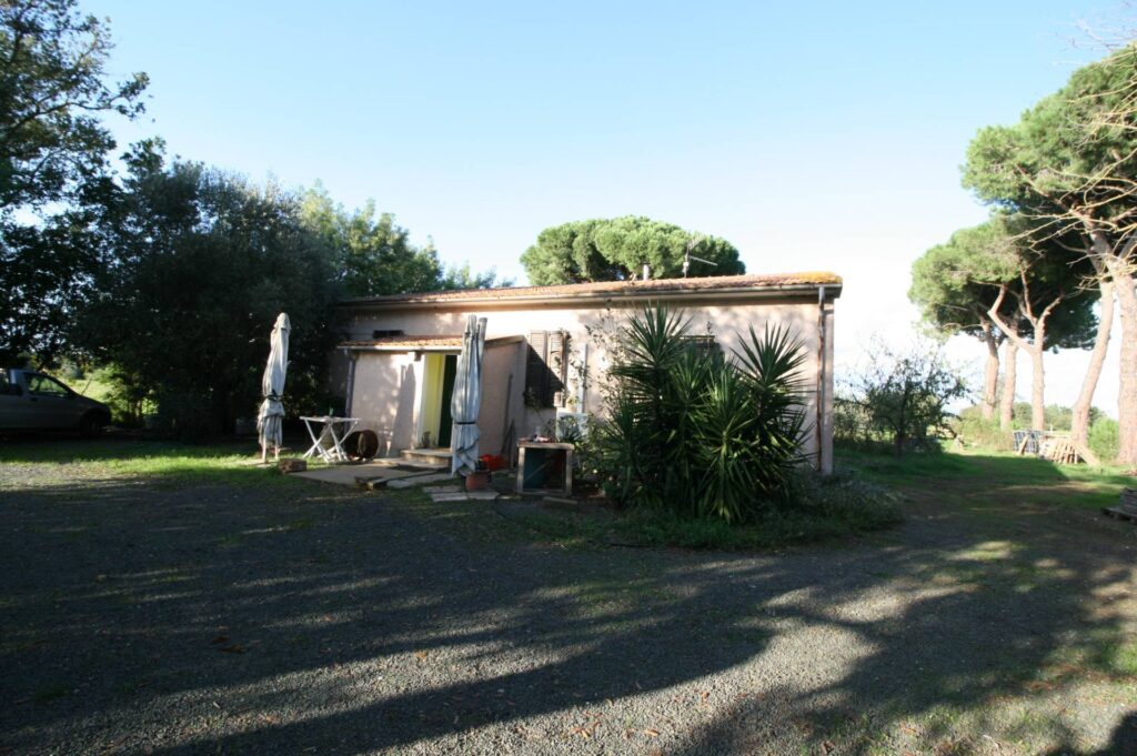 1572-Piccolo podere nella pianura Maremmana-Roccastrada-1 Agenzia Immobiliare ASIP