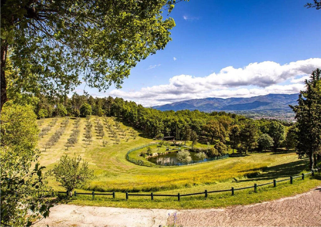 1053-Compendio immobiliare di alto prestigio-Figline e Incisa Valdarno-10 Agenzia Immobiliare ASIP