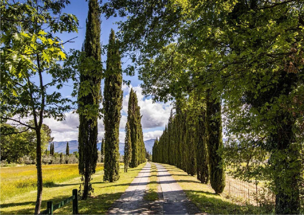 1053-Compendio immobiliare di alto prestigio-Figline e Incisa Valdarno-9 Agenzia Immobiliare ASIP