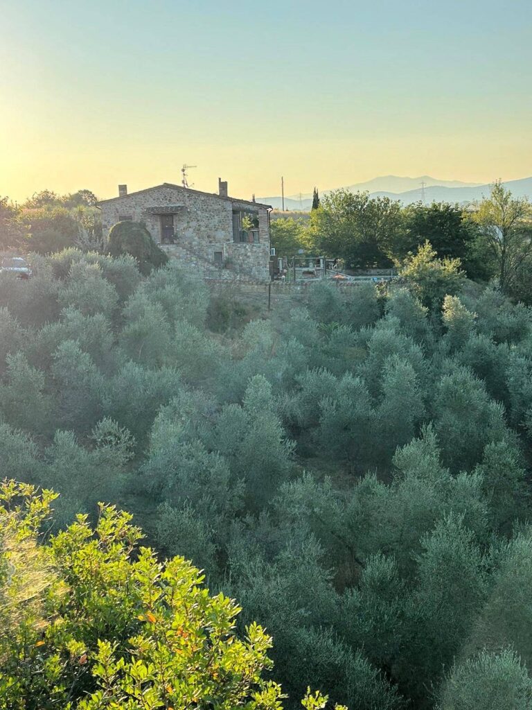 1585-Casale in stile rustico Toscano con vista panoramica parco e piscina-Roccastrada-3 Agenzia Immobiliare ASIP
