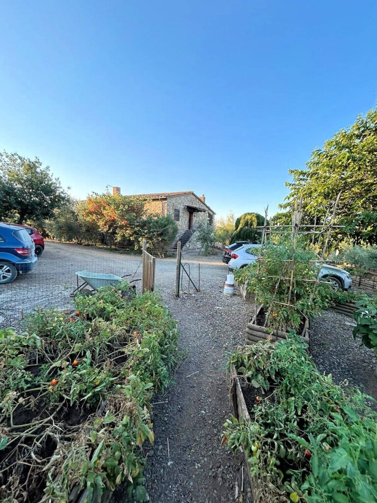 1585-Casale in stile rustico Toscano con vista panoramica parco e piscina-Roccastrada-14 Agenzia Immobiliare ASIP