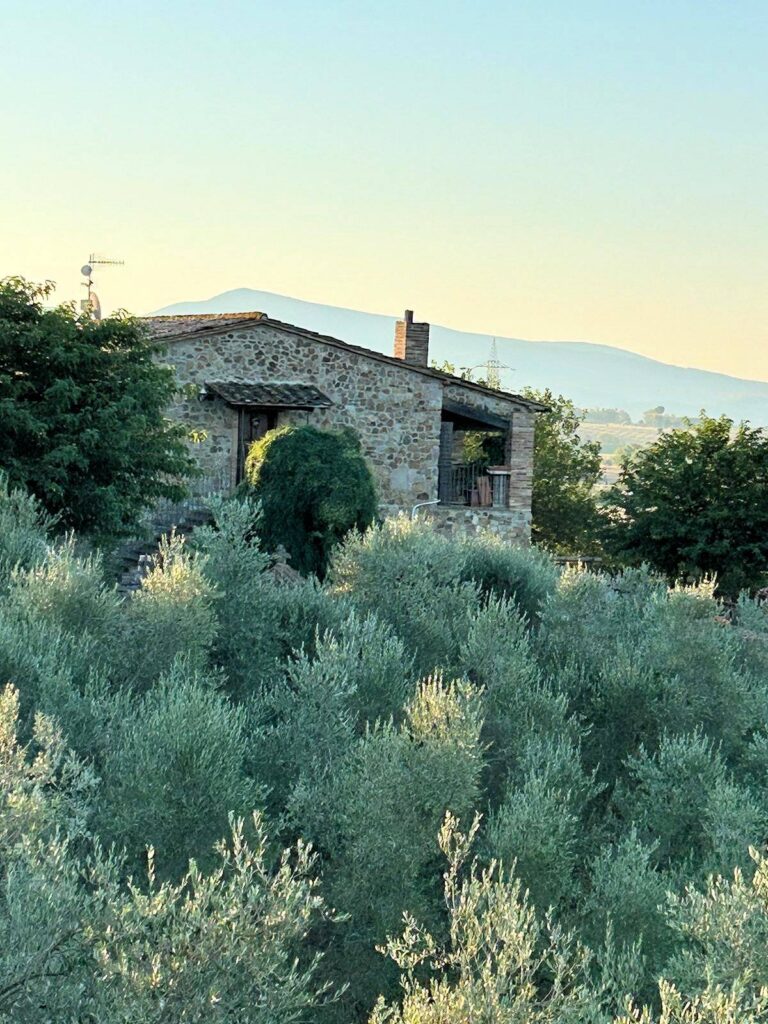 1585-Casale in stile rustico Toscano con vista panoramica parco e piscina-Roccastrada-11 Agenzia Immobiliare ASIP