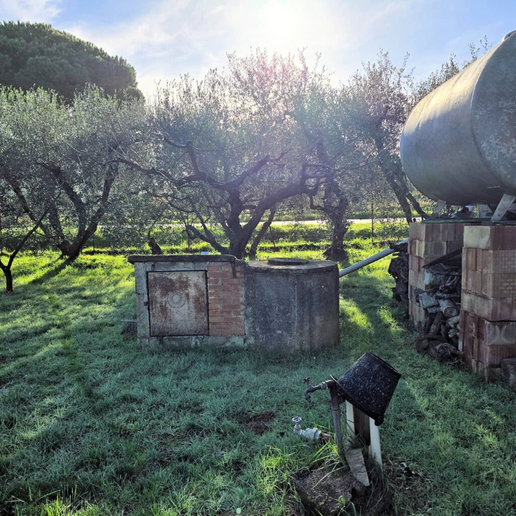 1089-Annesso agricolo con ampio terreno vicino al mare-Scarlino-9 Agenzia Immobiliare ASIP