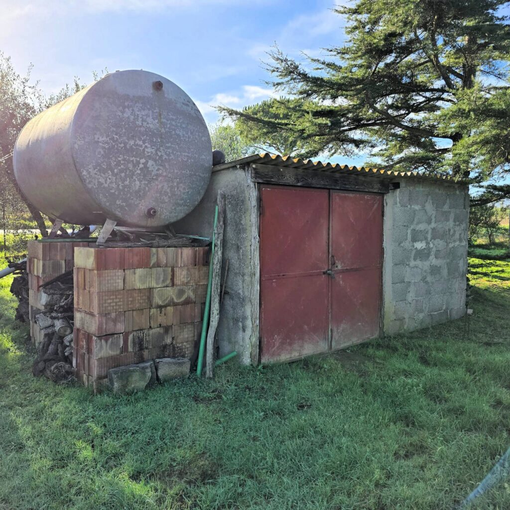 1089-Annesso agricolo con ampio terreno vicino al mare-Scarlino-8 Agenzia Immobiliare ASIP