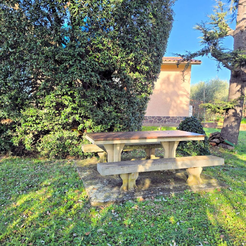 1089-Annesso agricolo con ampio terreno vicino al mare-Scarlino-6 Agenzia Immobiliare ASIP